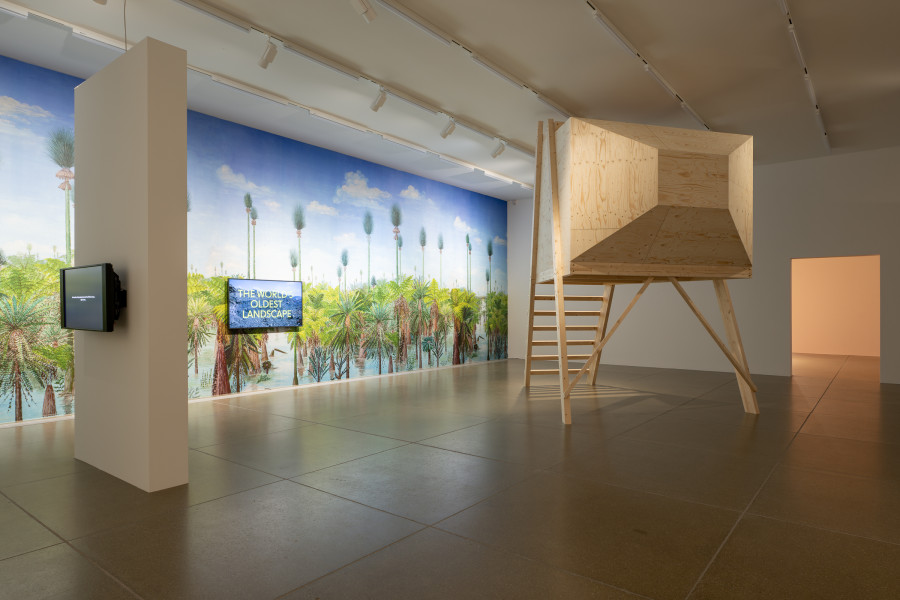 Installationsansicht Pauline Julier, A Single Universe, 8.6. – 27.10.2024, Aargauer Kunsthaus. Foto: ullmann.photography