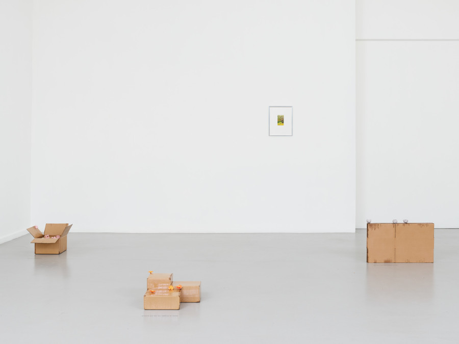View of the exhibition Gina Folly, Dolce Vita, CEC, 2023 Courtesy Centre d’édition contemporaine, Geneva Photo : © Sandra Pointet