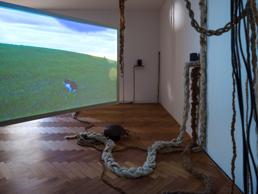 Vanessà Heer, Von Schand und Schuppel, installation view, Stadtgalerie Bern, 2025. Photography: Cedric Mussano. Copyright and courtesy of the artists and Stadtgalerie, Bern