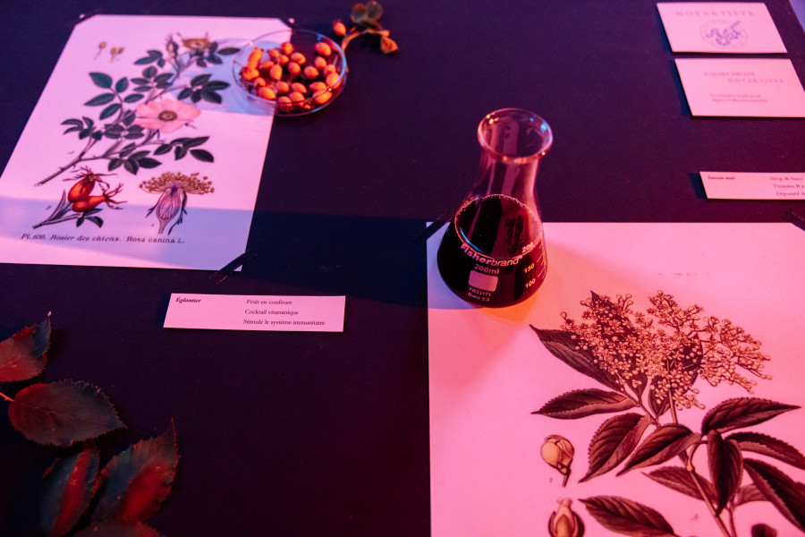 Multisensory evenings: #2 A quiet digest, Installation view, 2023, Friart.