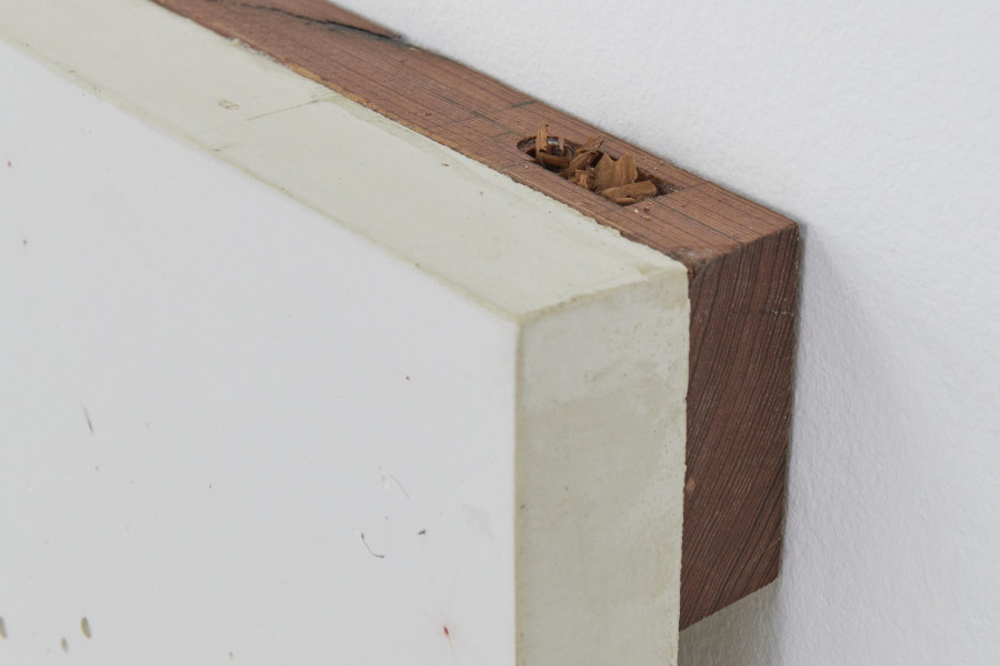 Brad Kronz, The Ghost of Ann Dowd (detail), 2023. Photo : Guillaume Python. Courtesy of the artist and Kunsthalle Friart Fribourg