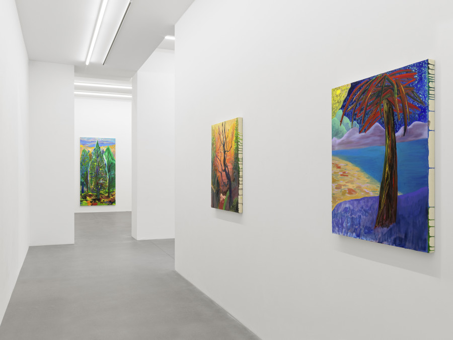 Installation view, Shara Hughes, Tree Farm, Galerie Eva Presenhuber, Waldmannstrasse, Zurich, 2024. © Shara Hughes. Courtesy the artist and Galerie Eva Presenhuber, Zurich / Vienna. Photo: Stefan Altenburger Photography, Zürich