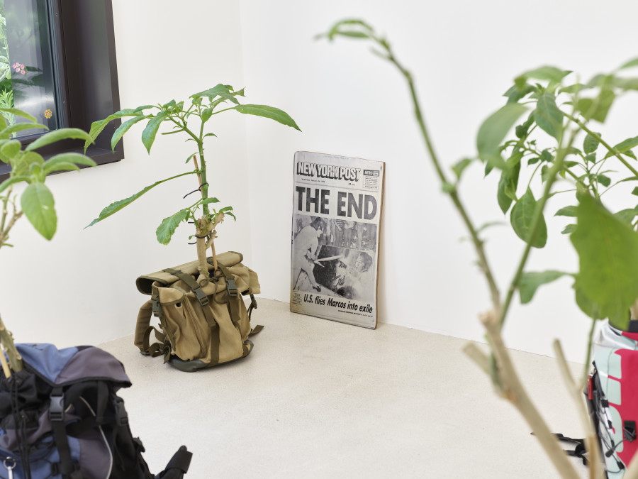 Installation view, Jasmin Werner, Apparat Kleptokrat, Damien & The Love Guru, Zürich, 2025. Courtesy of the artist and Damien & The Love Guru, Brussels/Zurich. Photography : Felix Jungo