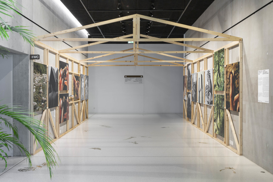 Installation view, Sabine Hess & Nicolas Polli, One Bed, Two Blankets, Seventy-Six Rules, Maison de l'enfance et de l'adolescence, Centre de la photographie Genève, 2025. Photo credit: Aix Golay