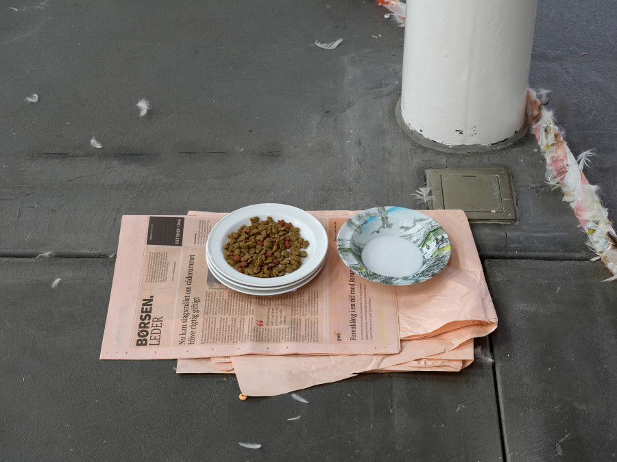 Jason Dodge, installation view, Kunsthalle Friart Fribourg, 2026. Photo: Cedric Mussano