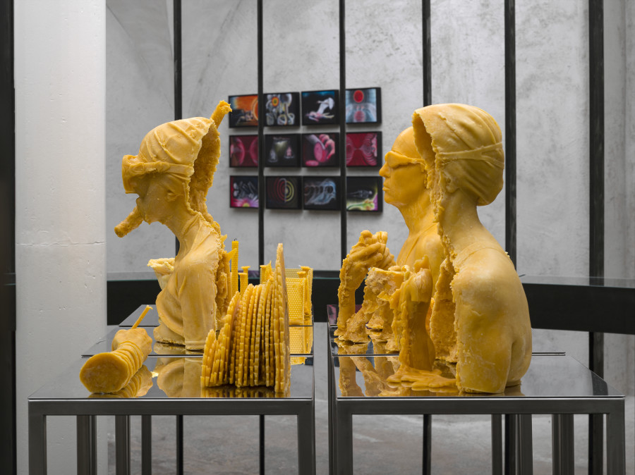 Exhibition view Emma Jung & Rebecca Ackroyd «Tage und Nächte», Cabaret Voltaire 2025; Rebecca Ackroyd, The World as I feel it (Series), 2025; The World as I see it (Series), 2022–ongoing. Photo: Cedric Mussano. Cour- tesy: the artist.