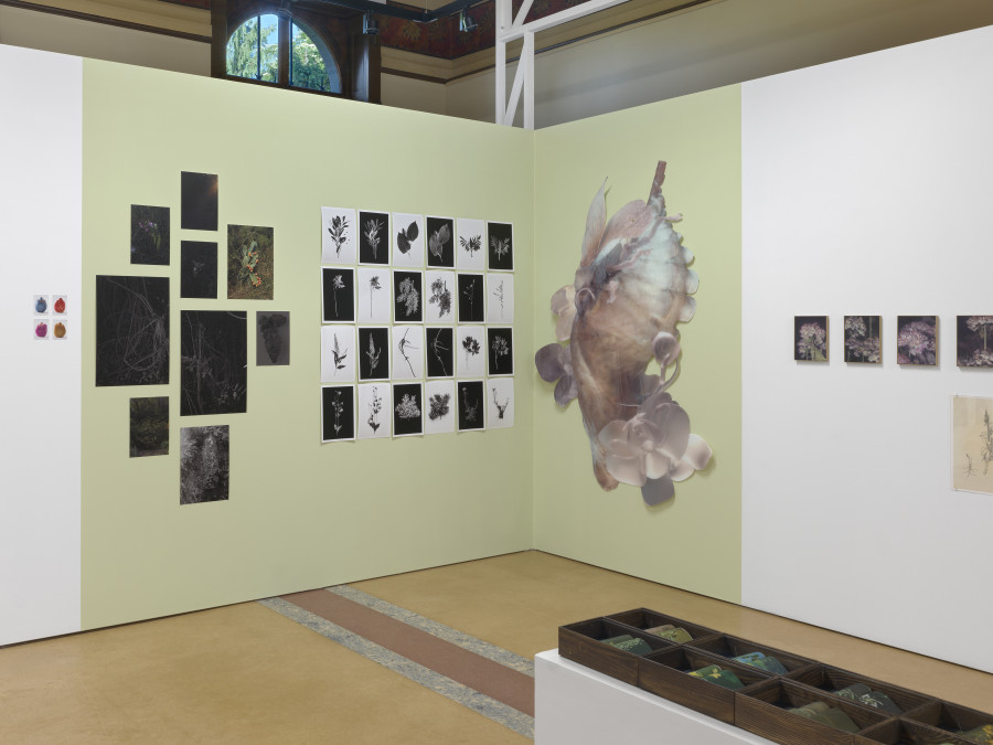 Installation view, Bruissements végétaux, Centre de la photographie Genève, 2025. Photo credit: Annnik Wetter