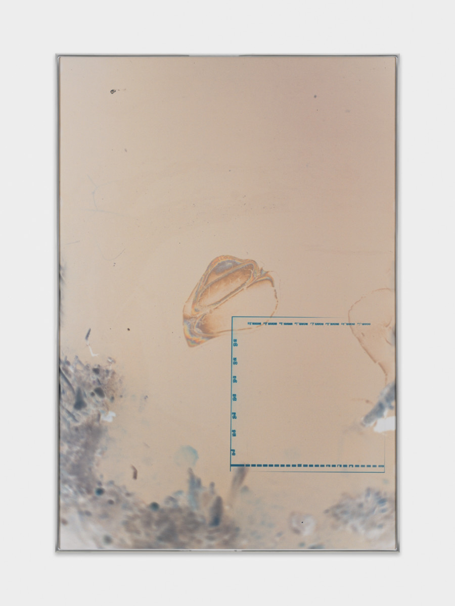 Sebastian Stadler, Untitled (New Archeologies), 2025, C-Print, aluminum frame by the artist, 125 x 86 cm, edition of 3 + 2 AP. Galerie Heinzer Reszler, 2025. Courtesy of the artist and the gallery. Photo credit: Julien Gremaud