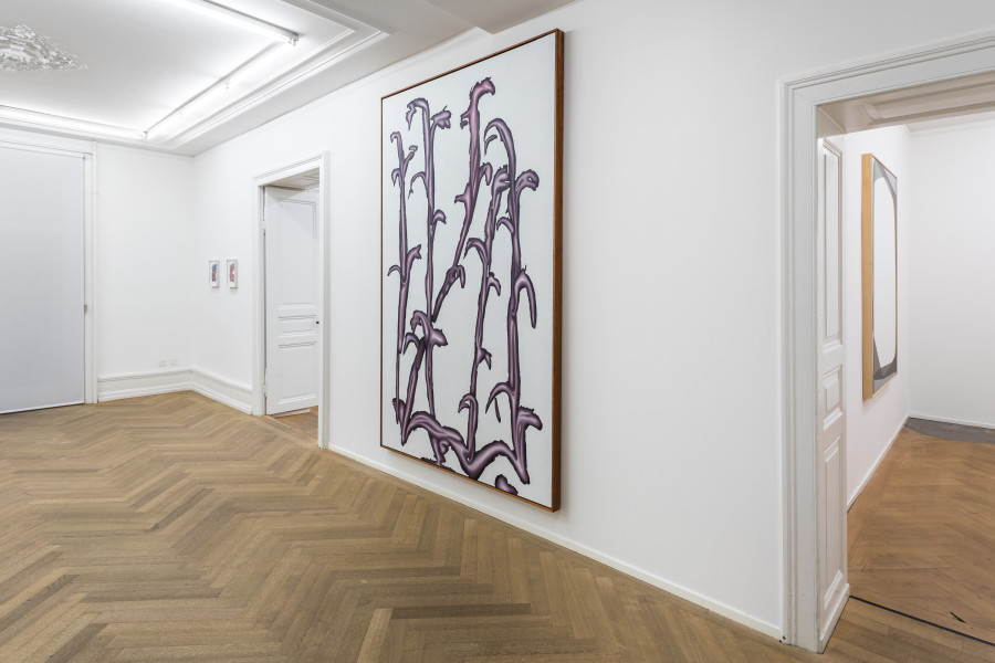 Exhibition view, Albrecht Schnider, at the garden’s Border, Mai 36 Galerie, 2023. Photo credits: Peter Baracchi