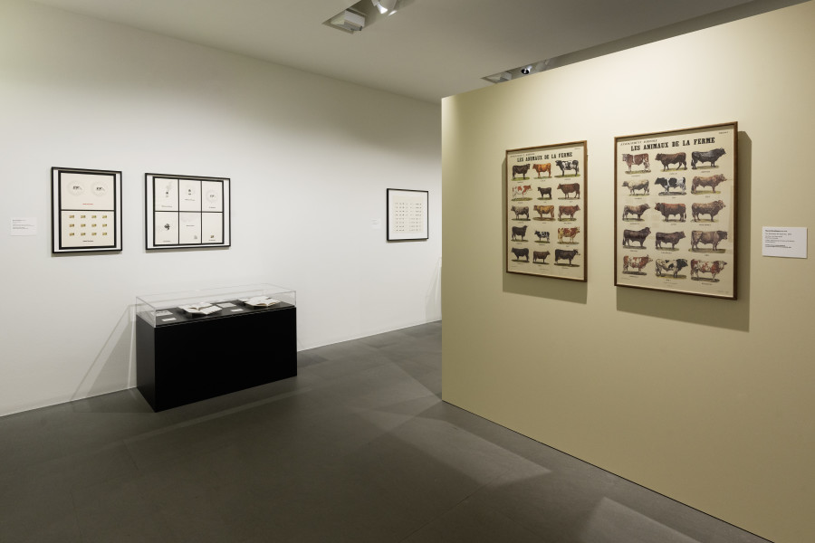 Exhibition view «Marcel Broodthaers – Museum», Kunsthaus Zürich, June 2023. Photo: Franca Candrian, Kunsthaus Zürich. Works: © Succession Marcel Broodthaers / 2023, ProLitteris, Zurich