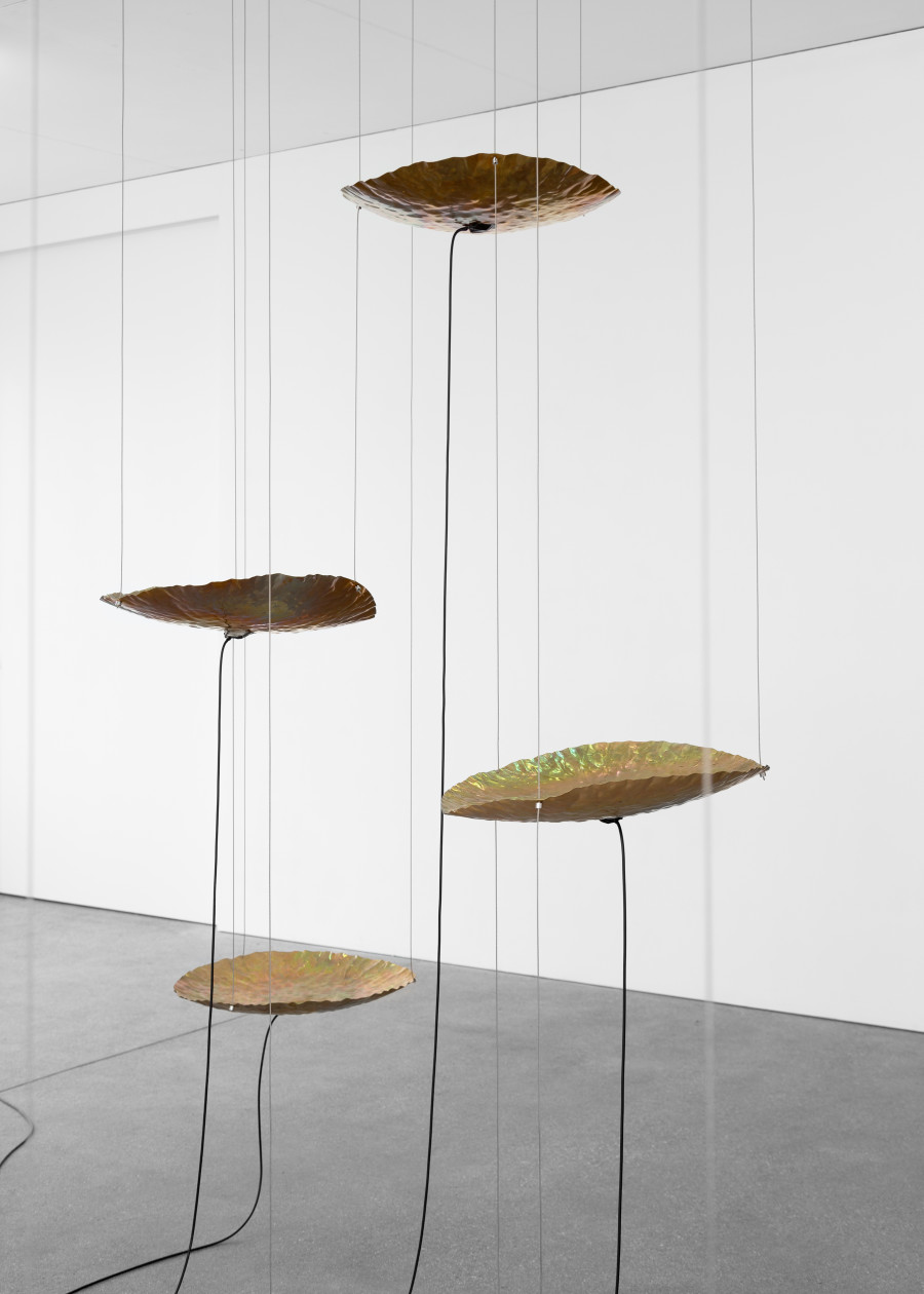Exhibition view, Courants soniques, Lisa Mazenauer & Emilie Moor, Espace 3353, 2024. Photo credit: Thea Giglio