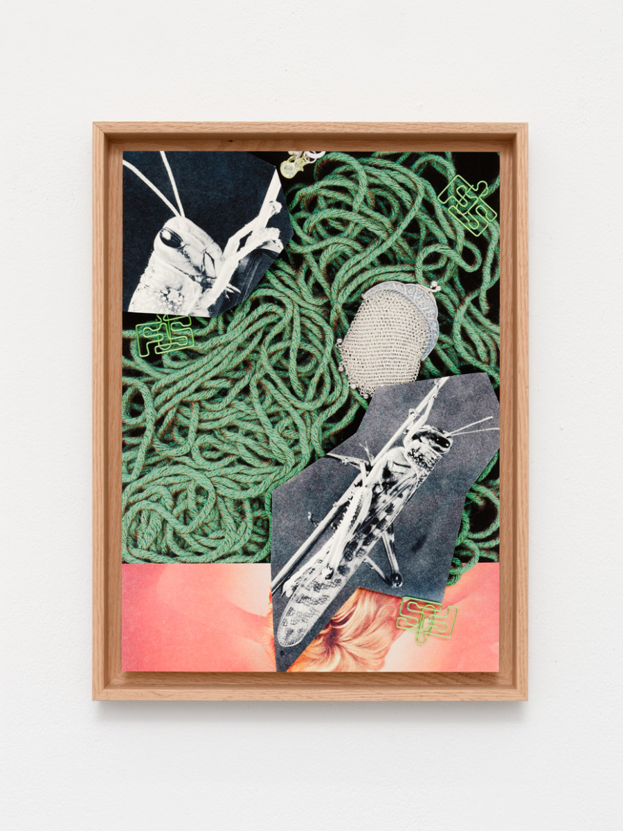 Hippolyte Hentgen, Fabule (le canari), en collaboration avec Christian Bernard, vue de l’exposition « Chambre à deux lits » à la Villa du Parc - centre d’art contemporain - Aurélien Mole, 2025 Hippolyte Hentgen, Fabule (le grillon), en collaboration avec Christian Bernard, vue de l’exposition « Chambre à deux lits » à la Villa du Parc - centre d’art contemporain - Aurélien Mole, 2025