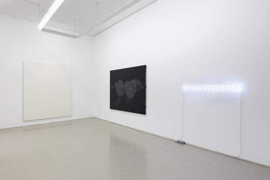 Exhibition view, Günther Wizemann, Oil Colour for Artists, Galerie Mark Müller, 2024. Copyrigh: the photographer Conradin Frei, the artist Günther Wizemann and the gallery.