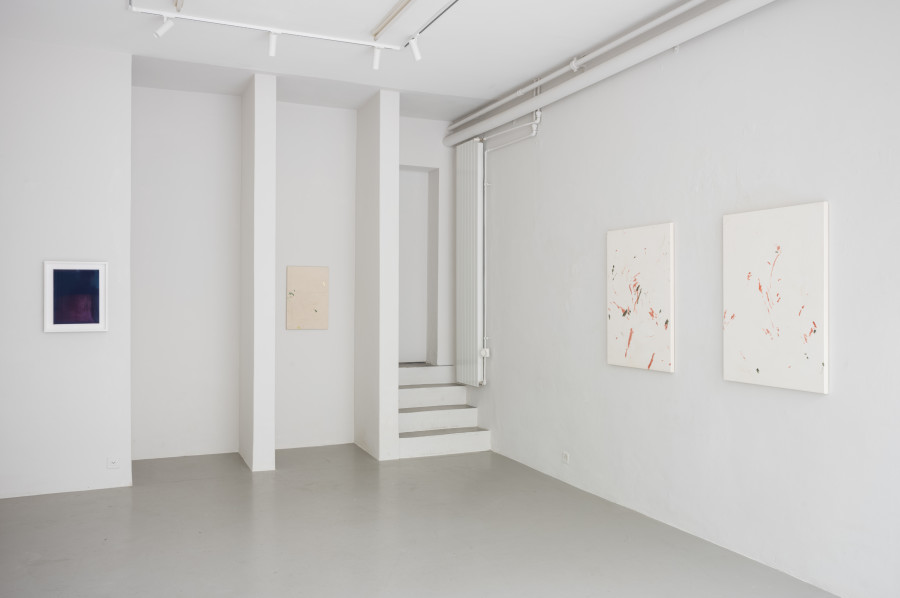 Installation view, Récolte de promenade, Paul Czerlitzki & Struan Teague, annex14, 2024.