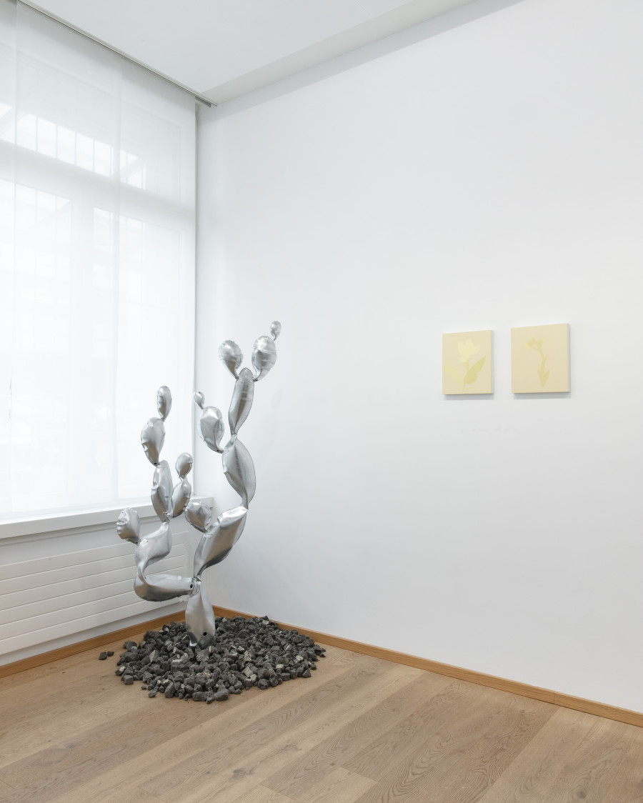 Stefan Knauf, Manuel Stehli, nachts wach, installation view, Livie Gallery, photos: Esther Mathis