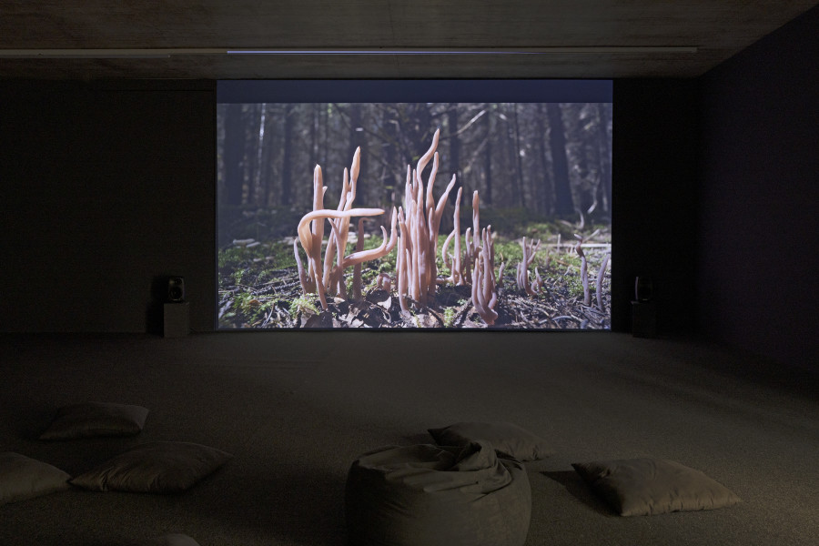 Liu Yujia, Mushrooms, 2023. Single channel 4K film Color, stereo sound. Video still. Courtesy of the artist. Ausstellungsansicht / Installation view Kunsthaus Baselland 2025. Foto / Photo: Gina Folly