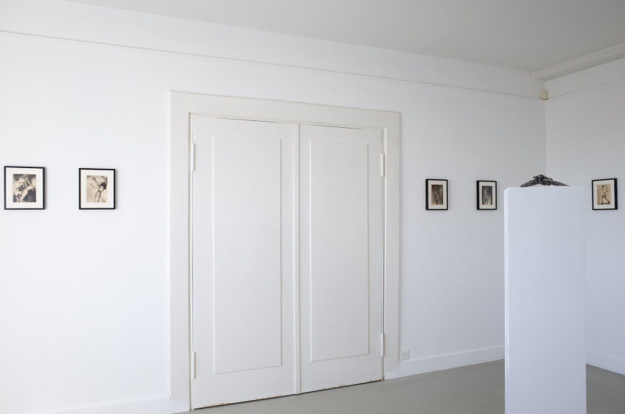 Iouri Podladtchikov & Elio Luxardo: You're Probably Right,Exhibition view, 2023, The Lighthouse, Photo credit: Iouri Podladtchikov.