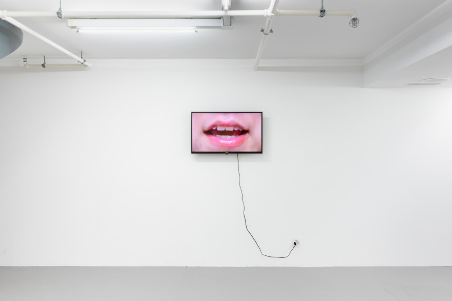 Exhibition view, Love, Gruppenausstellung in der Kunsthalle Luzern, Kunsthalle Luzern, 2025. Photo credit: Kilian Bannwart