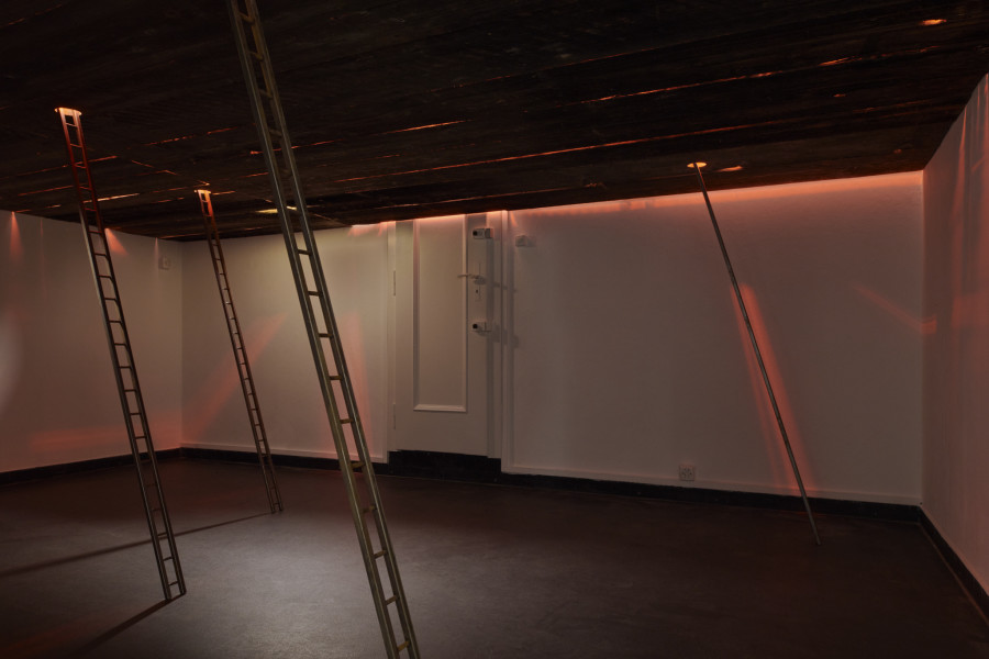 Installation view, Margot Sparkes & Guillaume Baeriswyl, Deux pattes bon ! Quatre pattes mieux !, La Placette, 2023. Photo credit: Guillaume Python