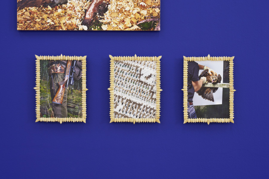Installation view, Laurence Kubski, Sauvages, Kunsthalle Friart Fribourg, 2024. Photo: Guillaume Python. Courtesy of the artist and Kunsthalle Friart Fribourg