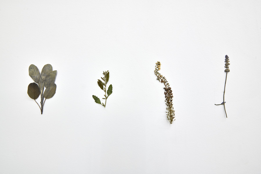 Installation view, Cuore Mangiato, Guscio di Fiore, Fattucchiere, Kulturfolger, 2023-2024. Photo: Anna Maysuk