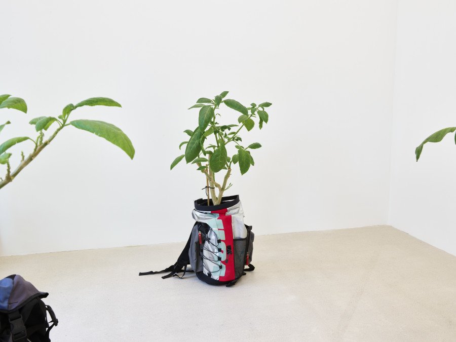 Installation view, Jasmin Werner, Apparat Kleptokrat, Damien & The Love Guru, Zürich, 2025. Courtesy of the artist and Damien & The Love Guru, Brussels/Zurich. Photography : Felix Jungo