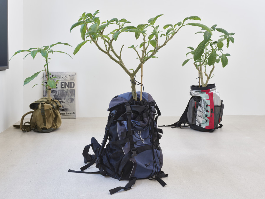 Installation view, Jasmin Werner, Apparat Kleptokrat, Damien & The Love Guru, Zürich, 2025. Courtesy of the artist and Damien & The Love Guru, Brussels/Zurich. Photography : Felix Jungo