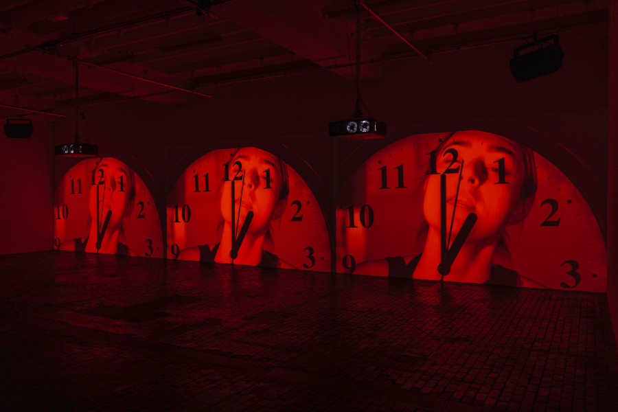 Vue d’exposition de Dialogue of the Dogs de Will Benedict au Centre d’Art Contemporain Genève (15.10.2022‒18.12.2022). © Centre d’Art Contemporain Genève. Photo : Julien Girard