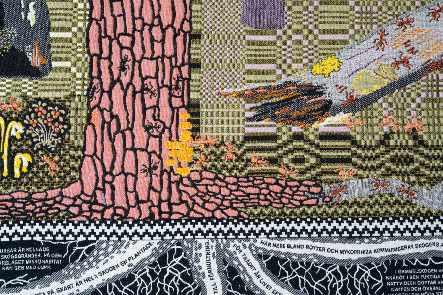 Emilia Bergmark, exhibition view, Going, Going, Gone., detail view of Boreal Natural Forest, 2025, von Bartha, Basel, 2026. Photo: Finn Curry / von Bartha. Courtesy of the artist and von Bartha.