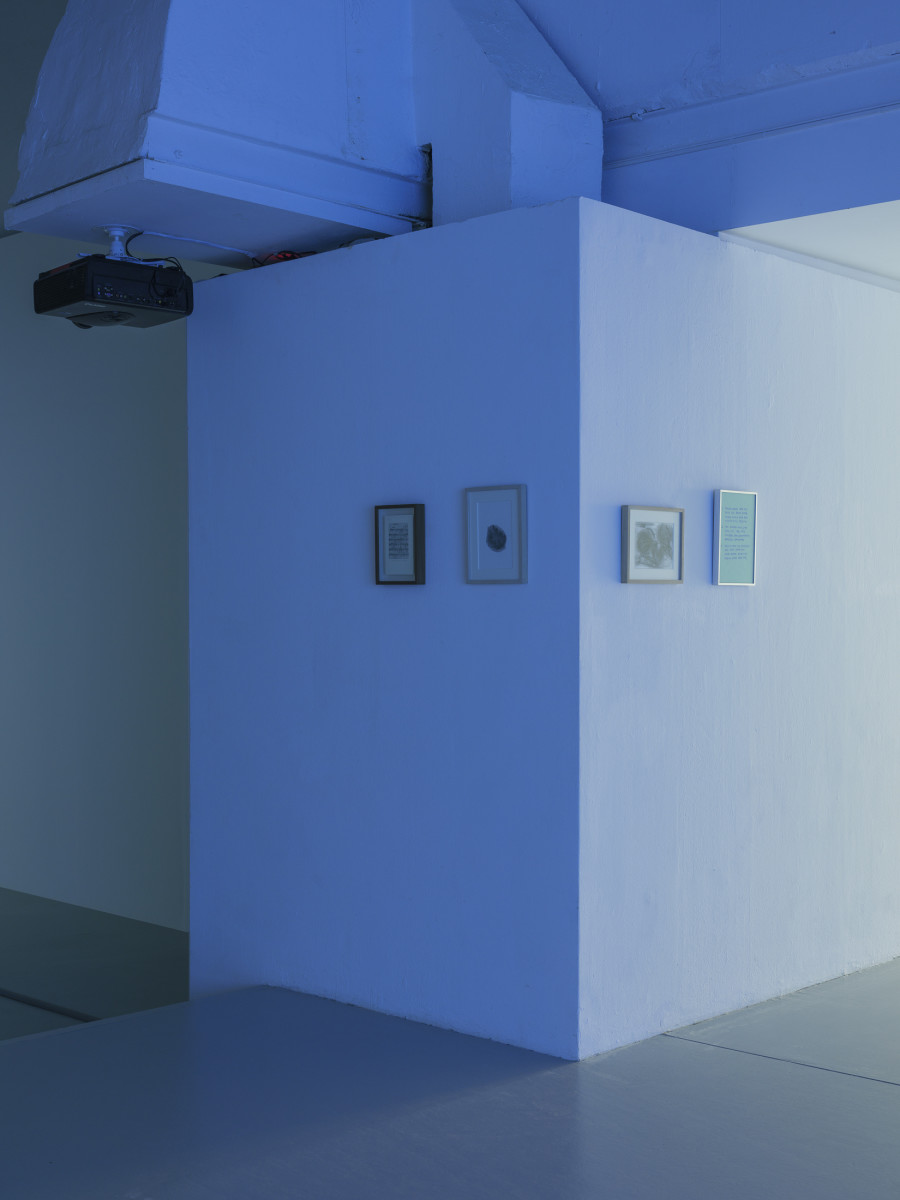 Hwayeon Nam, Ripple, exhibition view at CAN Centre d’art Neuchâtel, 2025. Photography: Sebastian Verdon. Courtesy: All images courtesy of Hwayeon Nam and CAN Centre d’art Neuchâtel