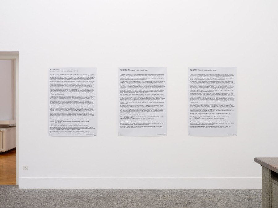 Exhibition view, Back to the Future, George Steinmann, Lofty Dryness. A growing Sculpture, 2003 – 2024, Kunsthalle Bern. Photo: David Aebi.