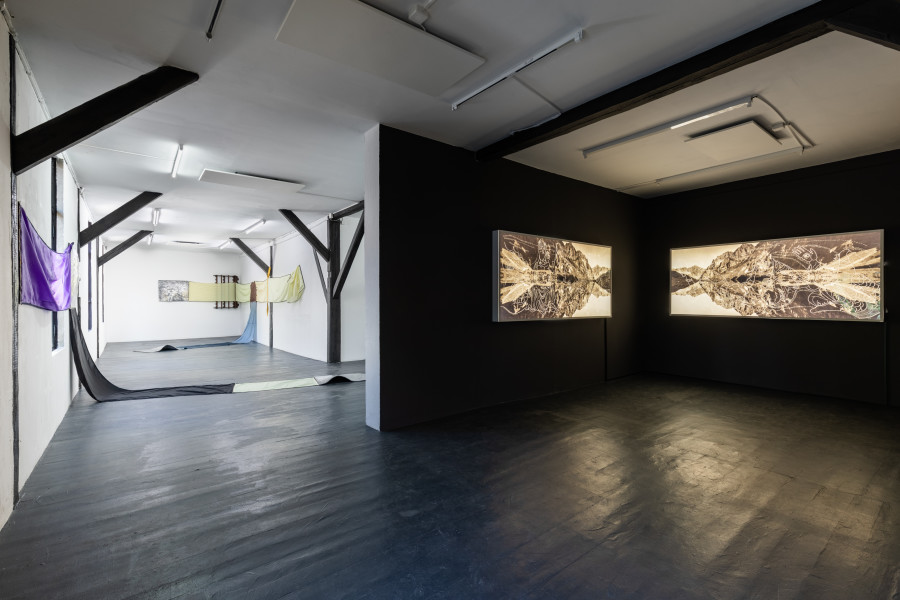 Leila Peacock & Gil Pellaton, Installation view, 2023. Photo: Kilian Bannwart