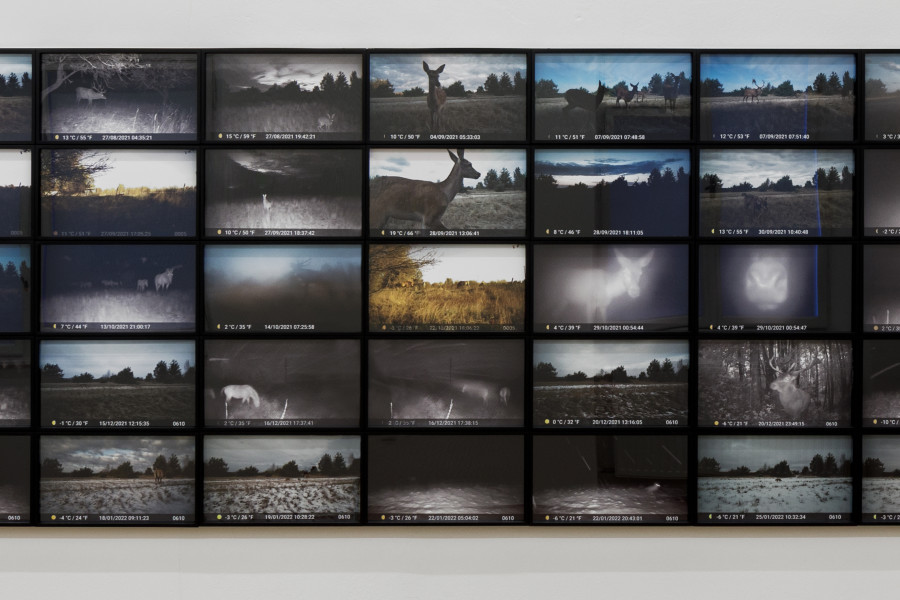 Anna Jermolaewa, Chernobyl Safari, 2014/23, Installation view collection Kunsthaus Bregenz. Photo: Markus Tretter. Courtesy of the artist. © Kunsthaus Bregenz, Anna Jermolaewa, Bildrecht, Wien, 2023
