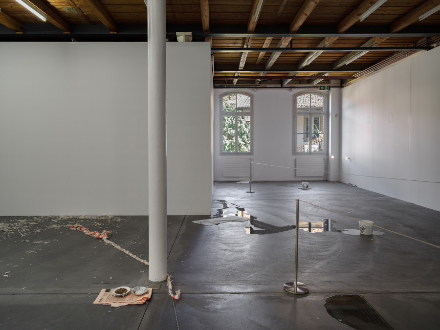 Jason Dodge, installation view, Kunsthalle Friart Fribourg, 2026. Photo: Cedric Mussano