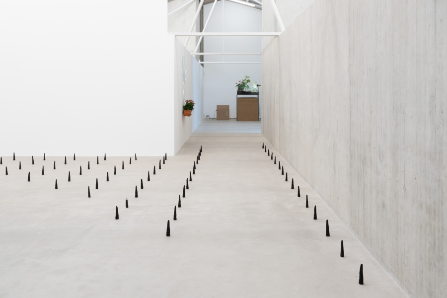 Leonardo Bürgi Tenorio, pirámides del olvido, 2025. Ausstellungsansicht / Installation view Kunsthaus Baselland 2025. Courtesy of the artist. Foto / Photo: Finn Curry