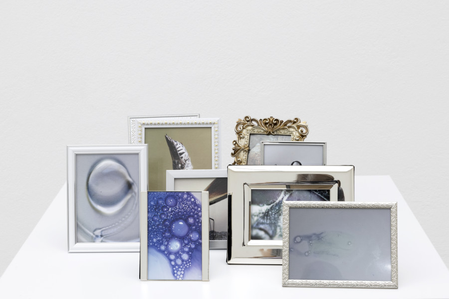 Hélène Fauquet, natural behaviour, Detail / detail, 2023. Hélène Fauquet, Phenomena, Ausstellungsansicht / installation view, Kunsthaus Glarus, 2023. Foto / Photo: Gina Folly