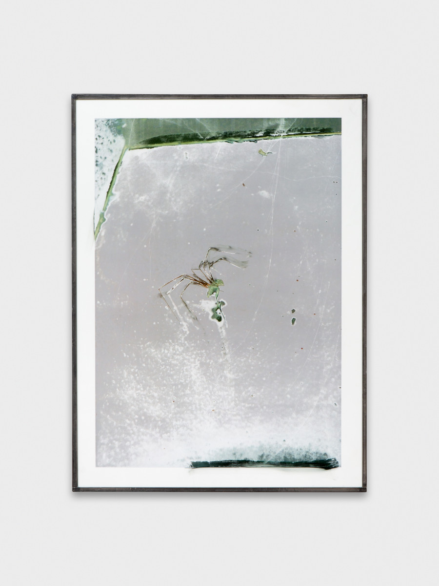 Jean-Vincent Simonet, Spider (heirloom), 2022, Inkjet print on plastic foil, fingertips intervention, handmade lead frame, anti-reflective glass, 42 × 31cm. Photography: Philipp Rupp / Julien Gremaud. Courtesy of Sentiment and the artist