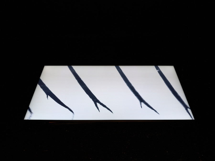 Exhibition view, Aeschlimann Corti-Scholarship 2023, Kunstmuseum Thun, 2023. Photo credit: David Aebi