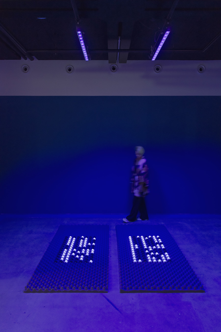 Joan Heemskerk, Entangled binary network (Hello, world!), 2024, «Quantum Visions», 2025,  HEK, photo: Franz Wamhof