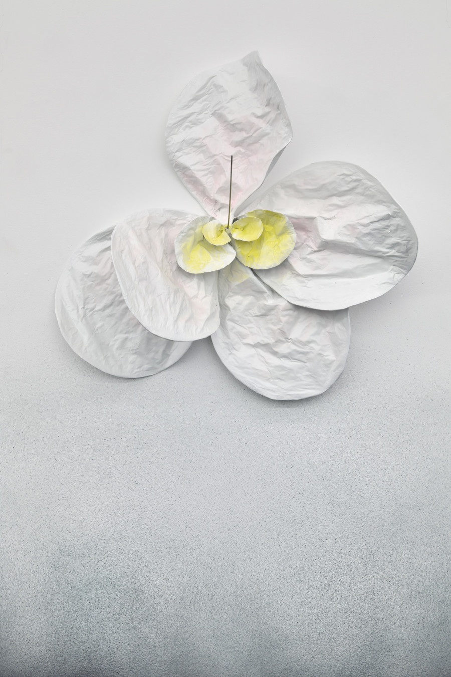 Exhibition view, Marlène Charpentié, Sophie Conus, Down The Rabbit Hole, Halle Nord, 2024.