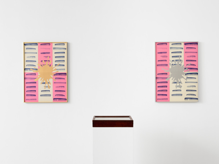 View of the exhibition John Armleder, ENCORE TROP, CEC, 2024. Exhibition from March 15 to May 3, 2024. Courtesy Centre d’édition contemporaine, Geneva. Photo : © Sandra Pointet