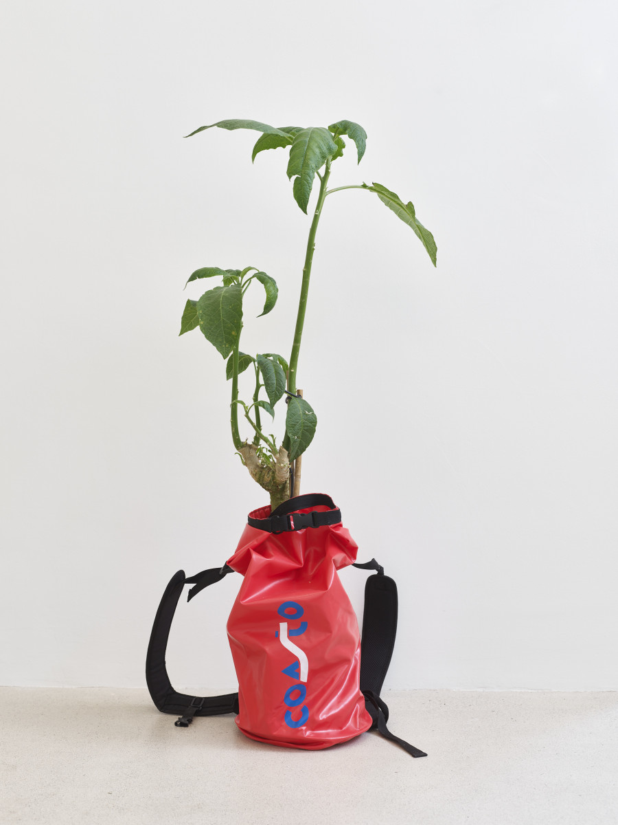 Installation view, Jasmin Werner, Apparat Kleptokrat, Damien & The Love Guru, Zürich, 2025. Courtesy of the artist and Damien & The Love Guru, Brussels/Zurich. Photography : Felix Jungo