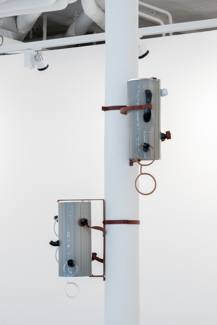 Installation view, Stefan Burger, The Gold Collection, tichyocean, 2025.