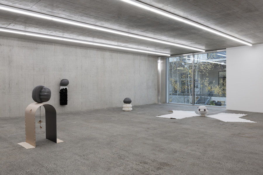 Maude Léonard-Contant, Poppy pâmoison, Herbe aux chantres; Sauvage fraise; The night rules; 2023. Courtesy the artist. Ausstellungsansicht / Installation view Kunsthaus Baselland 2024. Foto / Photo: Gina Folly