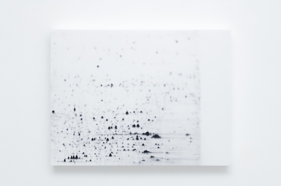 Exhibition view, Laurie Dall'Ava, Emerald Green Pigment, Villa du Parc, 2024. Photo credit: Aurélien Mole