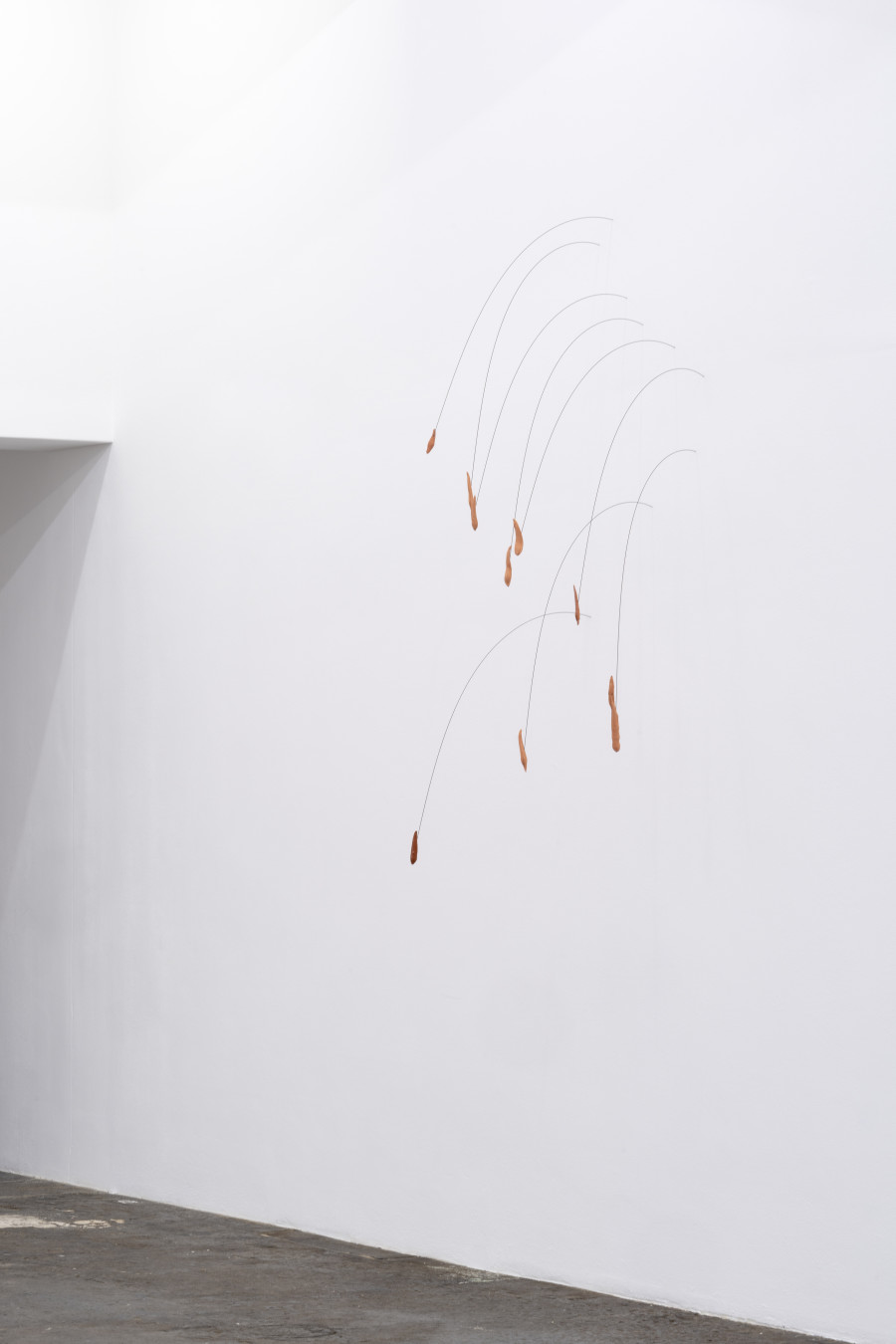 Marta Margnetti, Wisteria Drops, 2024. Courtesy: the artist. Photo: Kunst Halle Sankt Gallen, E. Sommer.
