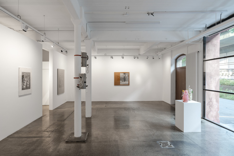 Installation view, Stefan Burger, The Gold Collection, tichyocean, 2025.