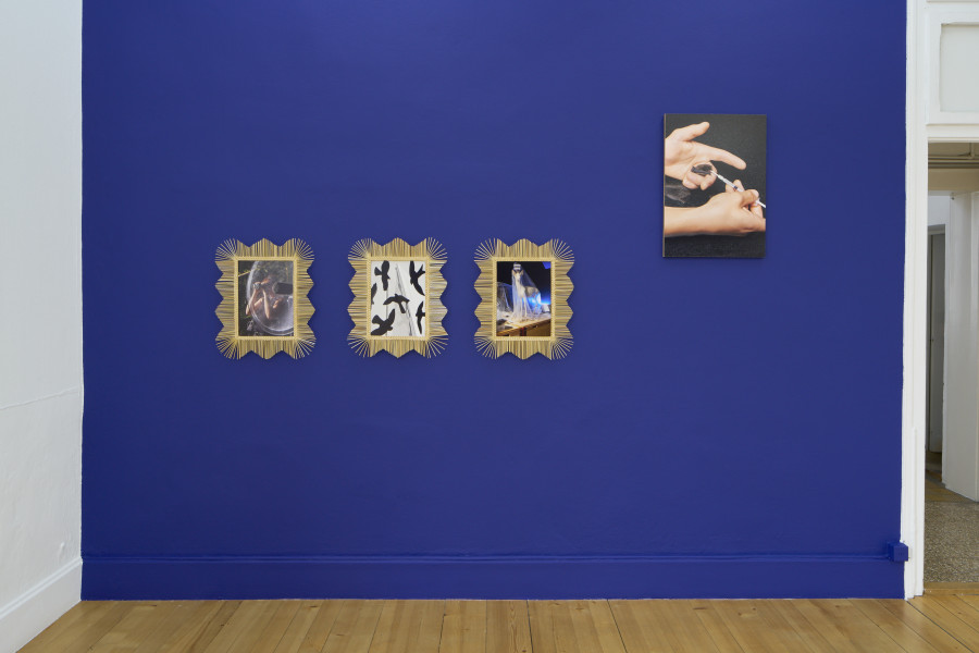 Installation view, Laurence Kubski, Sauvages, Kunsthalle Friart Fribourg, 2024. Photo: Guillaume Python. Courtesy of the artist and Kunsthalle Friart Fribourg