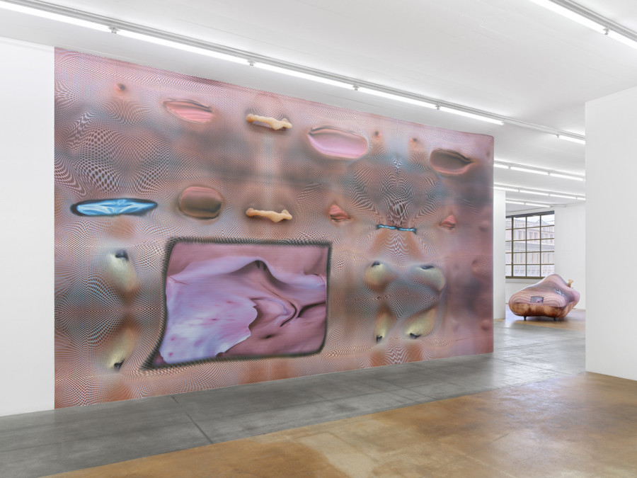 Tishan Hsu, vue d'exposition, MAMCO, 2024. Photo: Annik Wetter