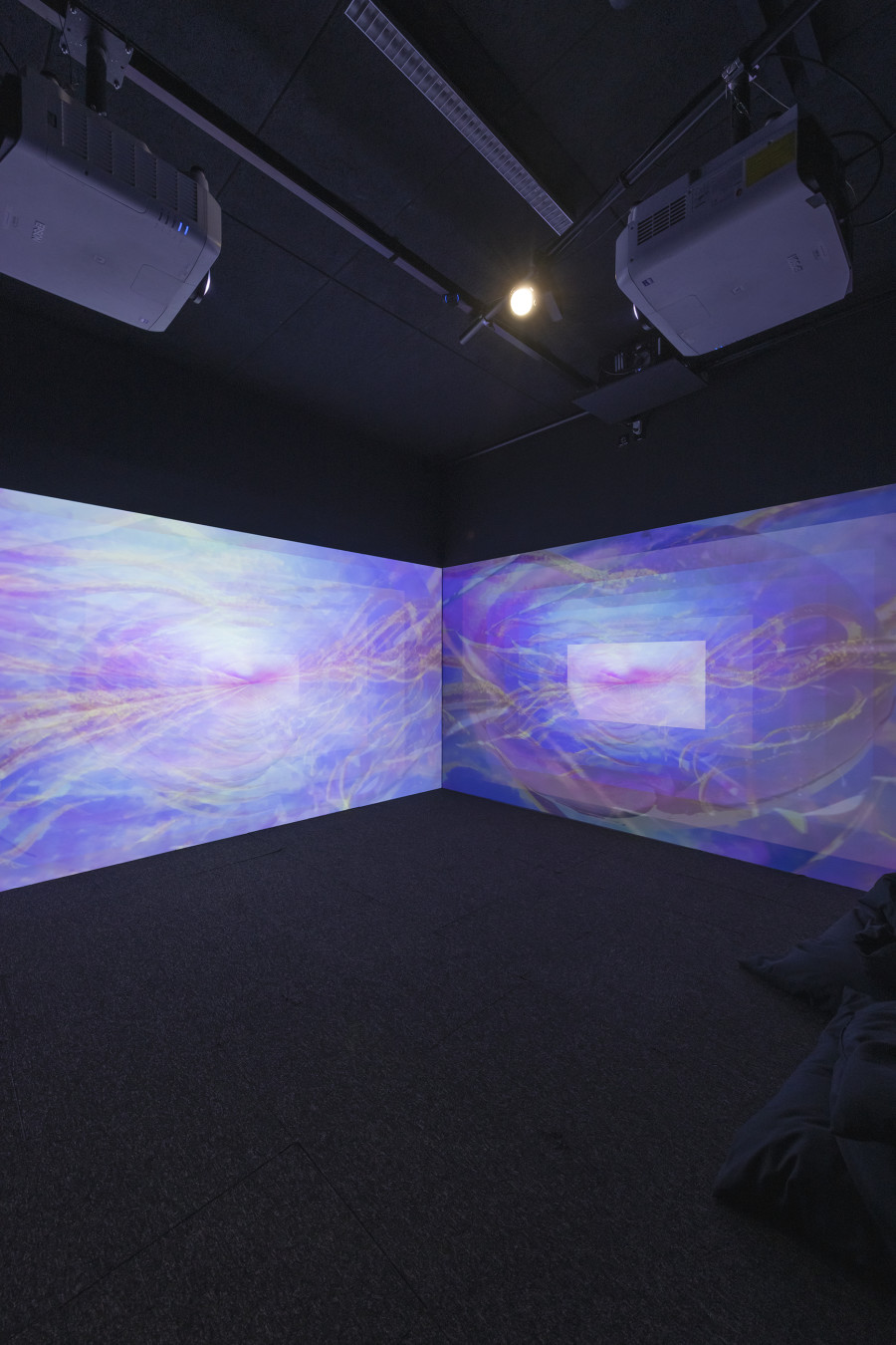 Libby Heany, Nibble My Multiverse, 2025, «Quantum Visions», 2025, HEK, photo: Franz Wamhof